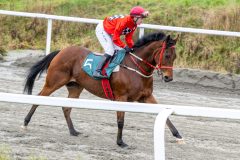 20251102-131650-DSC_7663