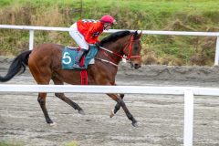 20251102-131650-DSC_7671