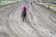 20251102-131702-DSC_7684