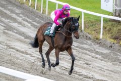 20251102-131707-DSC_7701