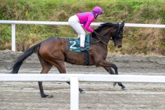 20251102-131709-DSC_7725