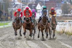 20251102-132138-DSC_7837