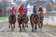 20251102-132138-DSC_7843