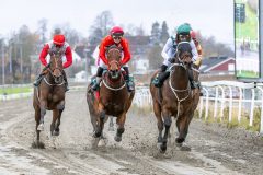 20251102-132140-DSC_7846