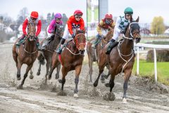 20251102-132141-DSC_7860