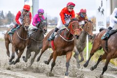 20251102-132141-DSC_7869