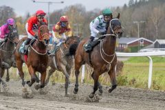 20251102-132156-DSC8840