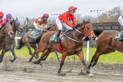 20251102-132158-DSC8845