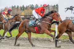 20251102-132158-DSC8848