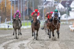 20251102-132306-DSC_7934