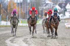 20251102-132308-DSC_7941