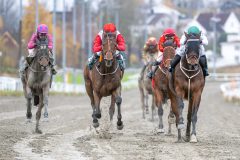 20251102-132308-DSC_7949