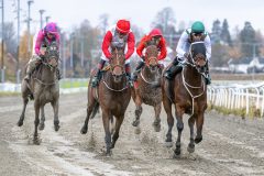 20251102-132310-DSC_7964