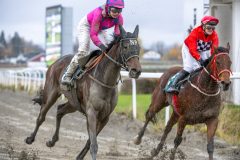 20251102-132312-DSC_7993