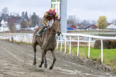 20251102-132314-DSC_8004