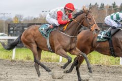 20251102-132326-DSC8862