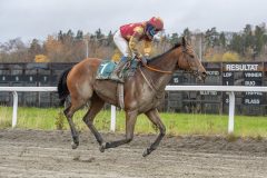 20251102-132330-DSC8869