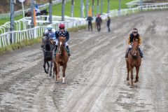 20251102-134054-DSC_8053