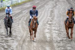 20251102-134059-DSC_8064