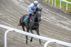 20251102-134103-DSC_8088