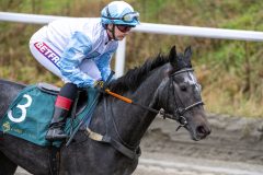 20251102-134105-DSC_8101