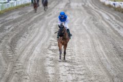 20251102-134122-DSC_8115