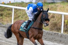 20251102-134128-DSC_8127