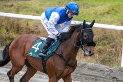 20251102-134128-DSC_8135