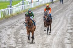 20251102-134141-DSC_8157