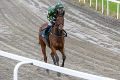 20251102-134147-DSC_8178