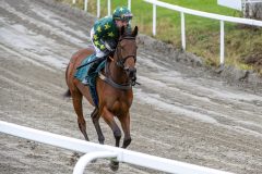 20251102-134147-DSC_8187