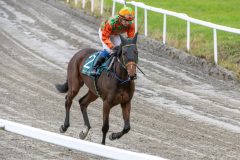 20251102-134149-DSC_8194