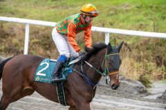 20251102-134150-DSC_8204