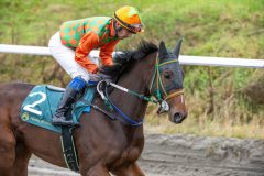 20251102-134150-DSC_8210