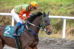 20251102-134150-DSC_8211