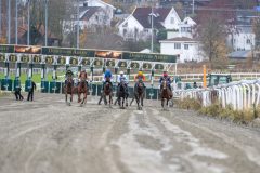 20251102-134720-DSC_8244