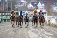 20251102-134727-DSC_8297