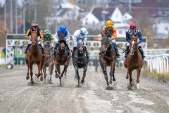 20251102-134728-DSC_8313