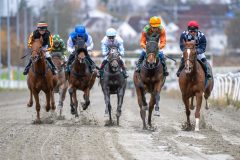 20251102-134729-DSC_8321