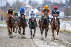 20251102-134730-DSC_8328