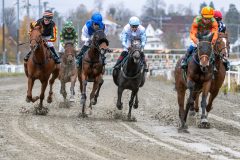 20251102-134731-DSC_8333