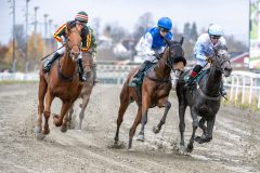 20251102-134732-DSC_8351