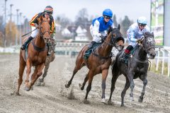 20251102-134732-DSC_8353