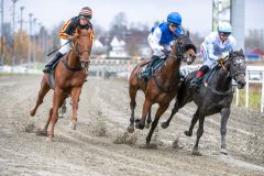 20251102-134732-DSC_8355