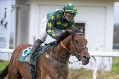 20251102-134733-DSC_8377