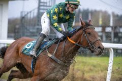 20251102-134733-DSC_8381