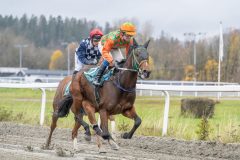 20251102-134747-DSC9041