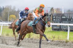 20251102-134748-DSC9043