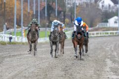 20251102-134857-DSC_8459