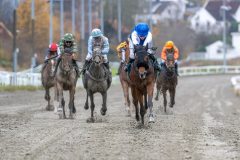 20251102-134859-DSC_8482